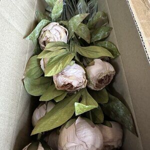 Viral Michaels Ashland Peonies - set of 8 stems NIB